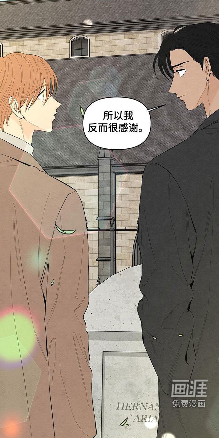 第141章：【番外】墓园