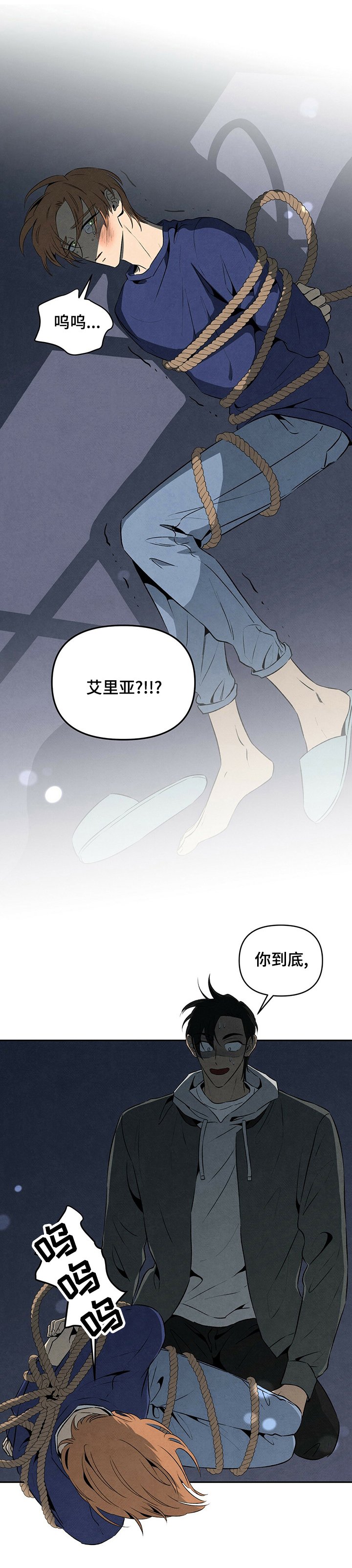 第46章：电话