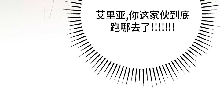 第65章：去哪了