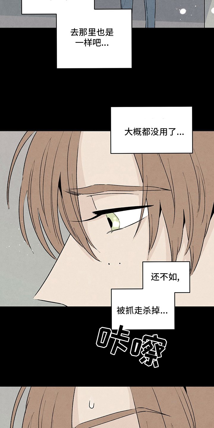第70章：玫瑰