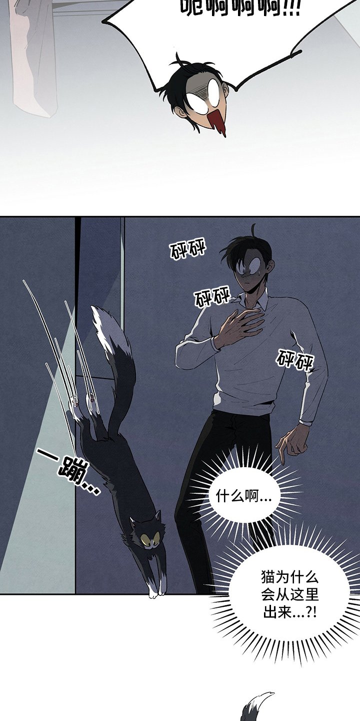 第70章：玫瑰