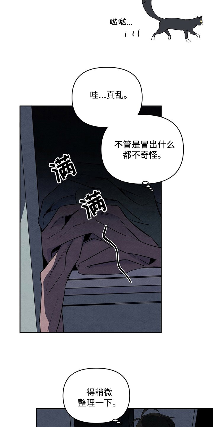 第70章：玫瑰