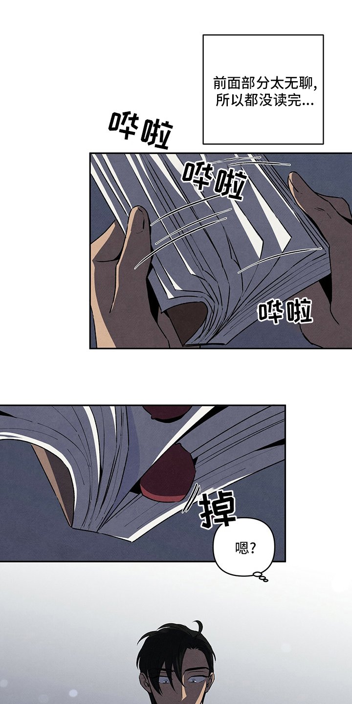 第70章：玫瑰