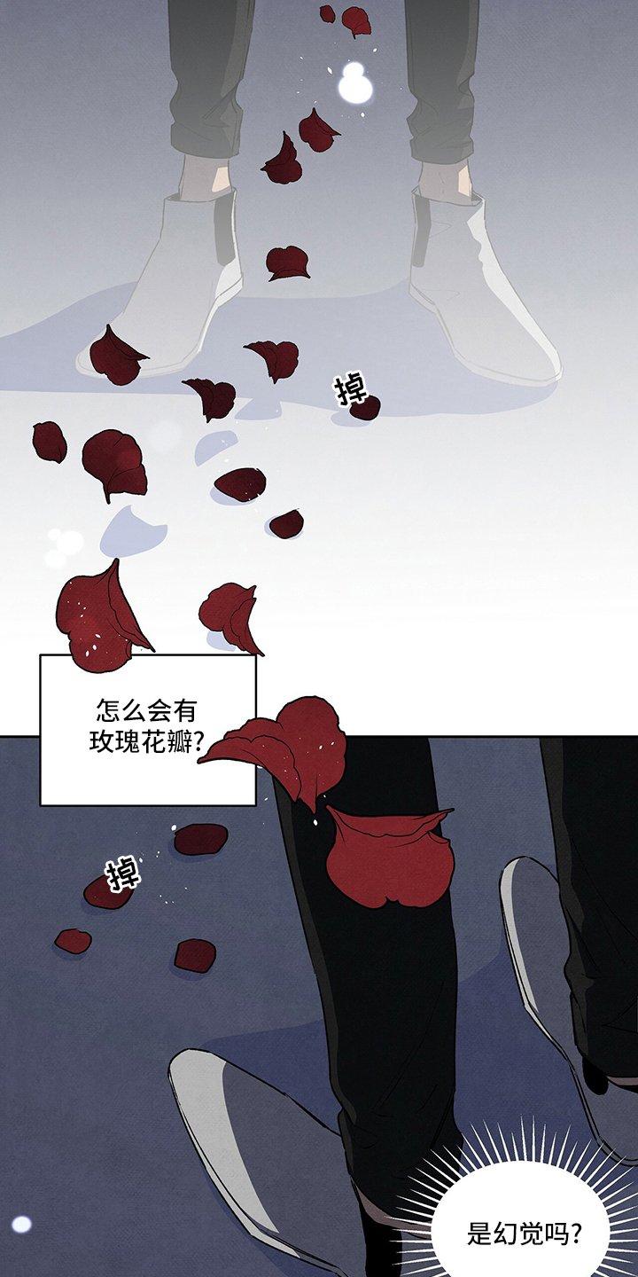 第70章：玫瑰