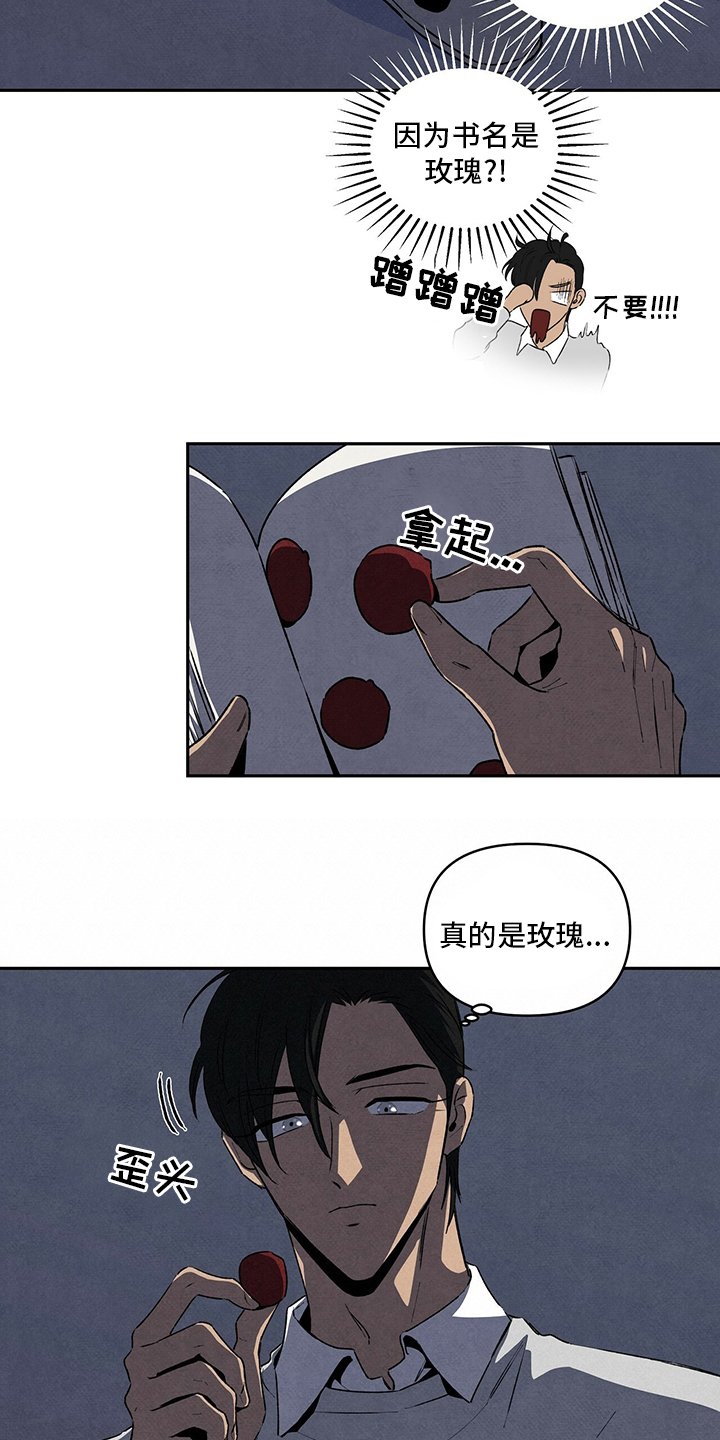 第70章：玫瑰