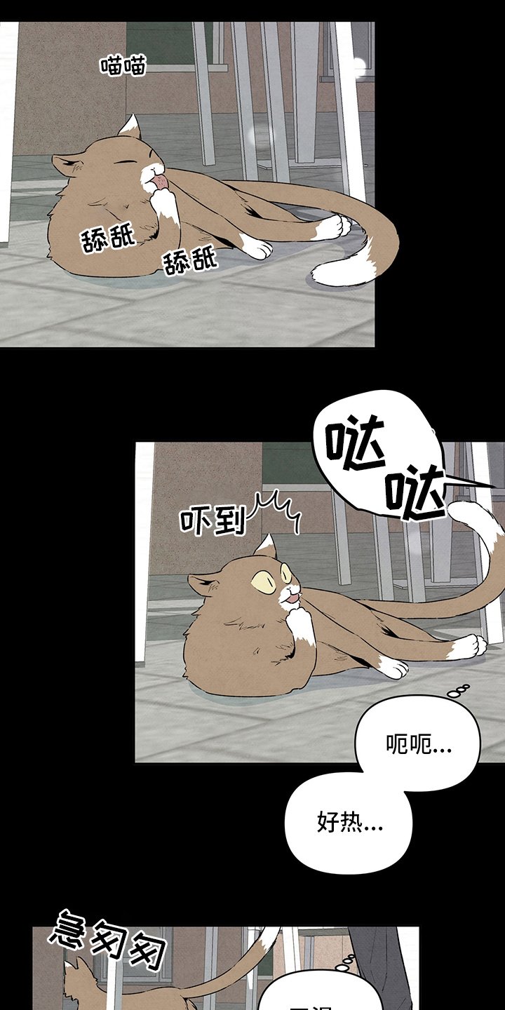 第82章：朋友
