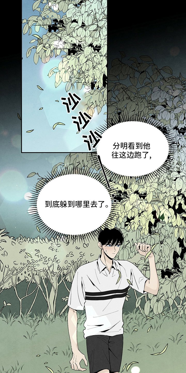 第95章：抱团