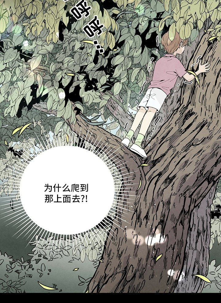 第95章：抱团
