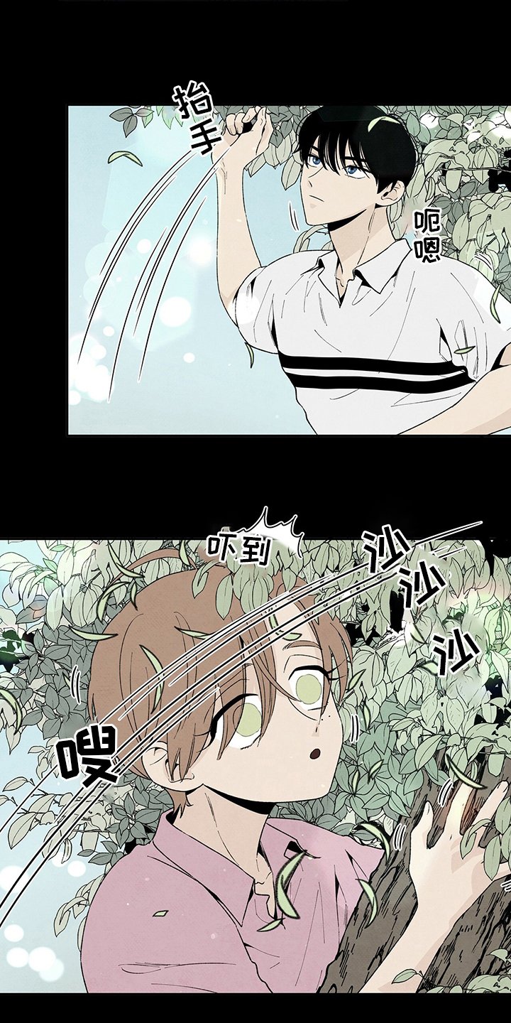 第96章：爸爸