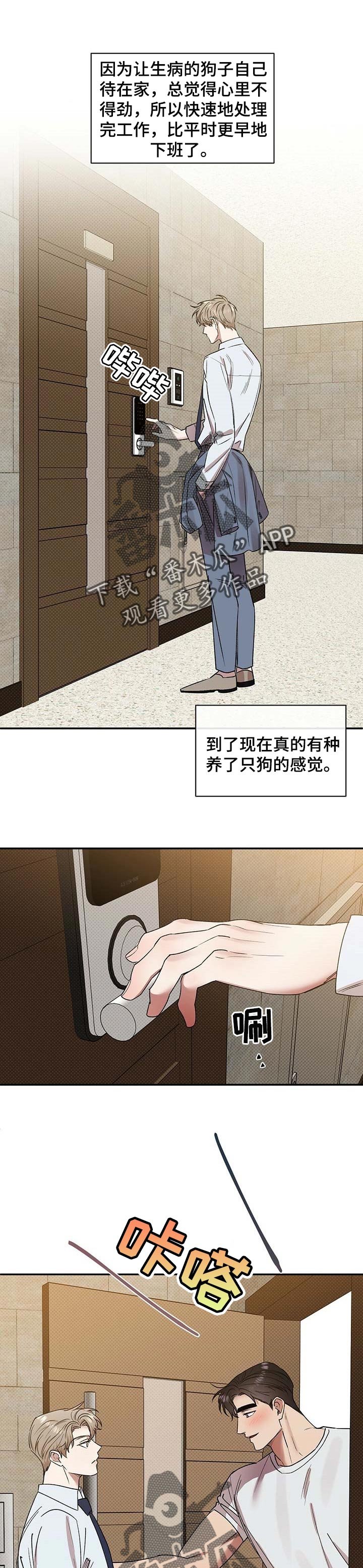 第47章：照顾
