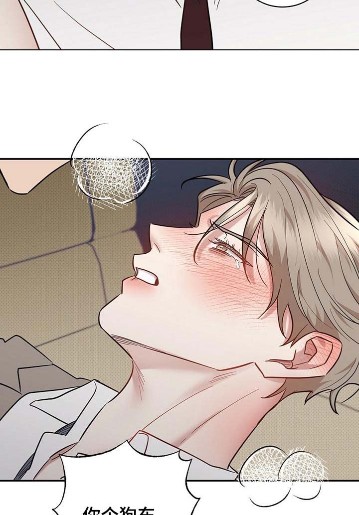 第74章：欺骗自己