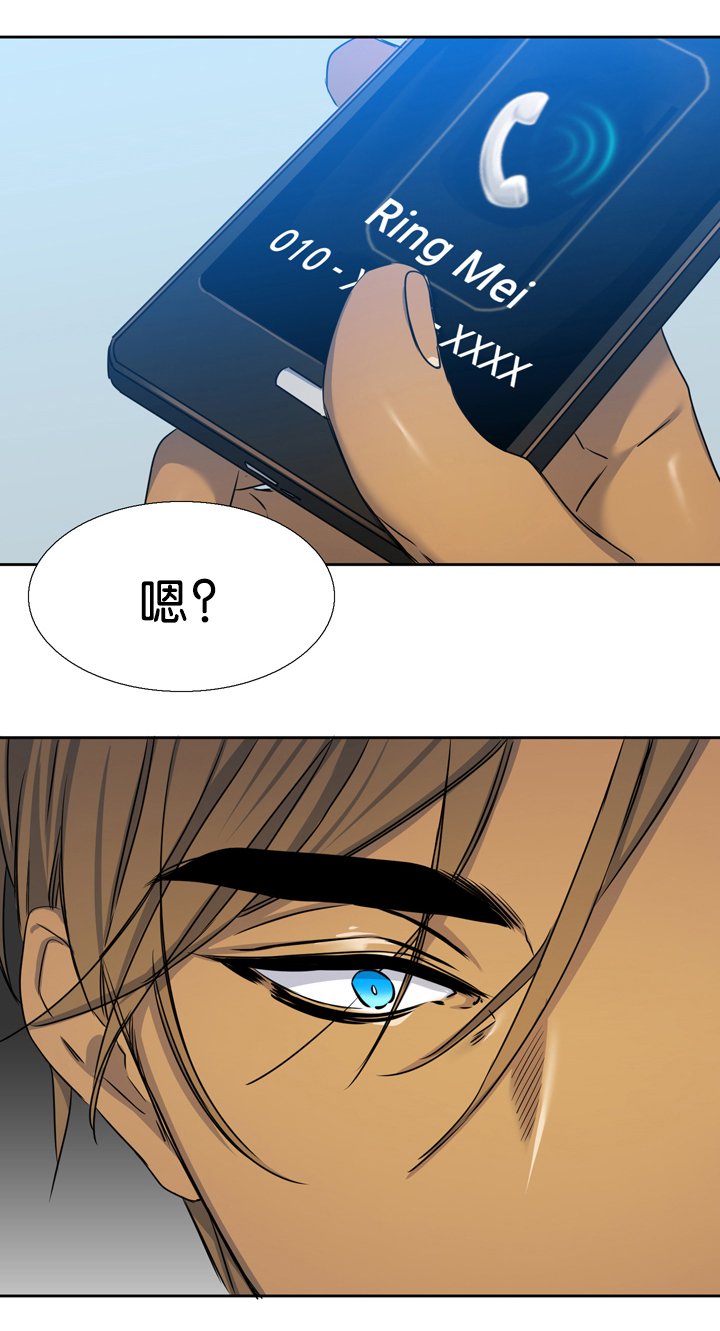 第17章：诚实
