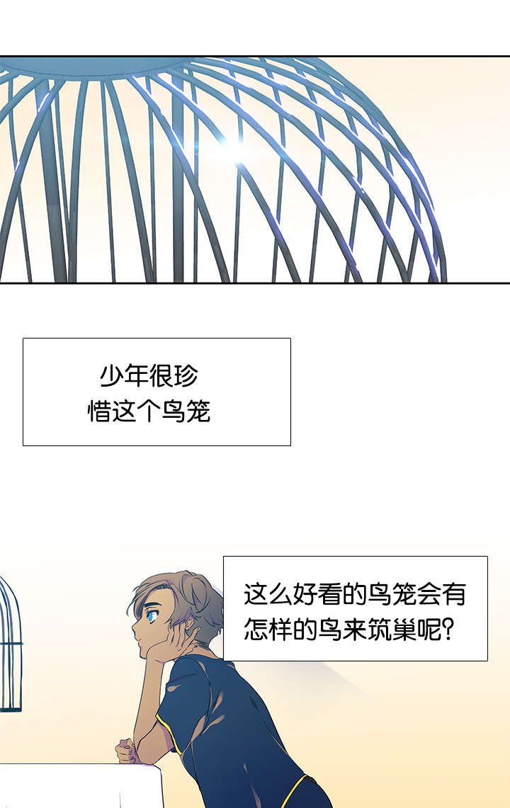 第25章：鸟笼