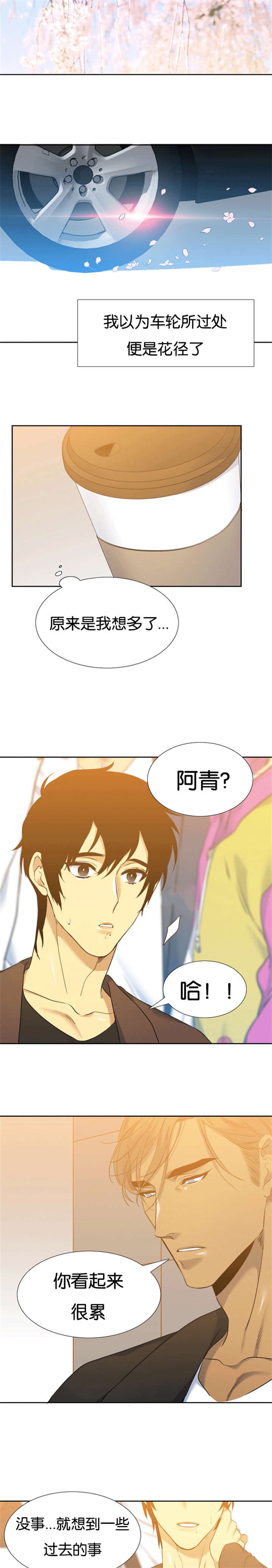 第50章：收养的故事