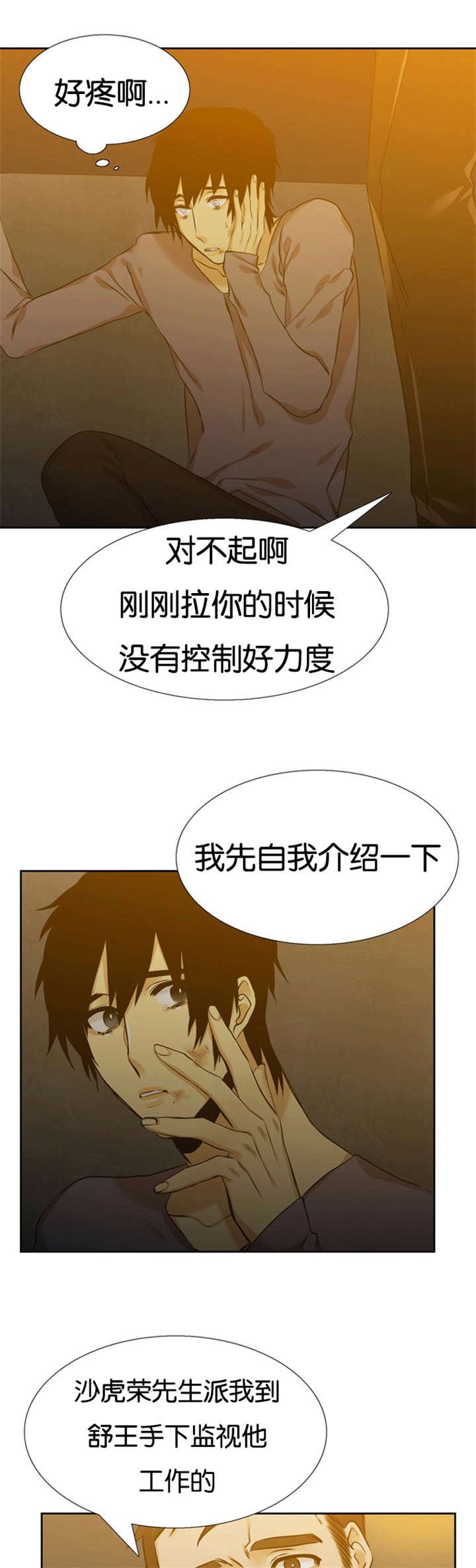 第60章：暗中保护