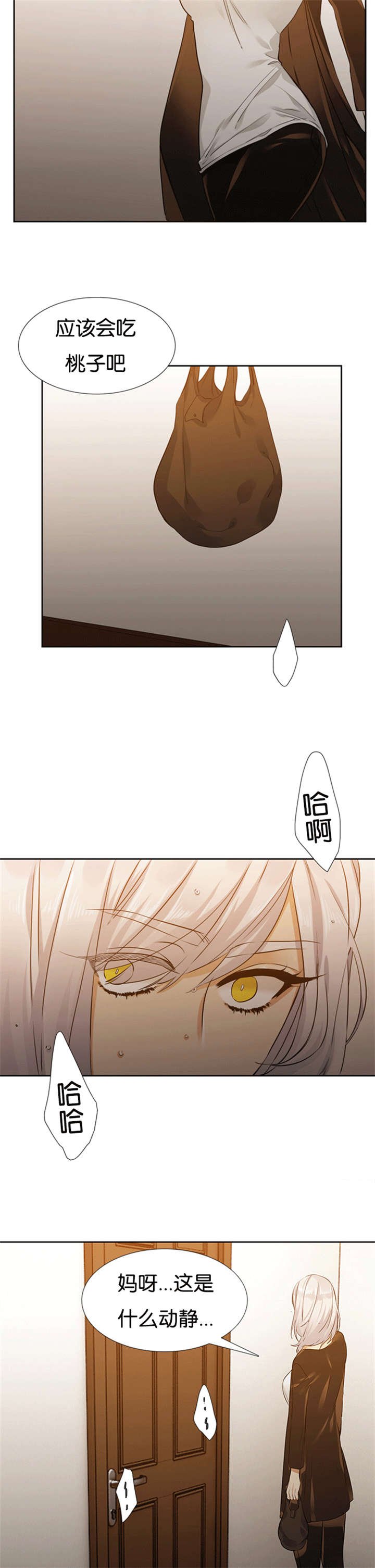 第65章：疯子