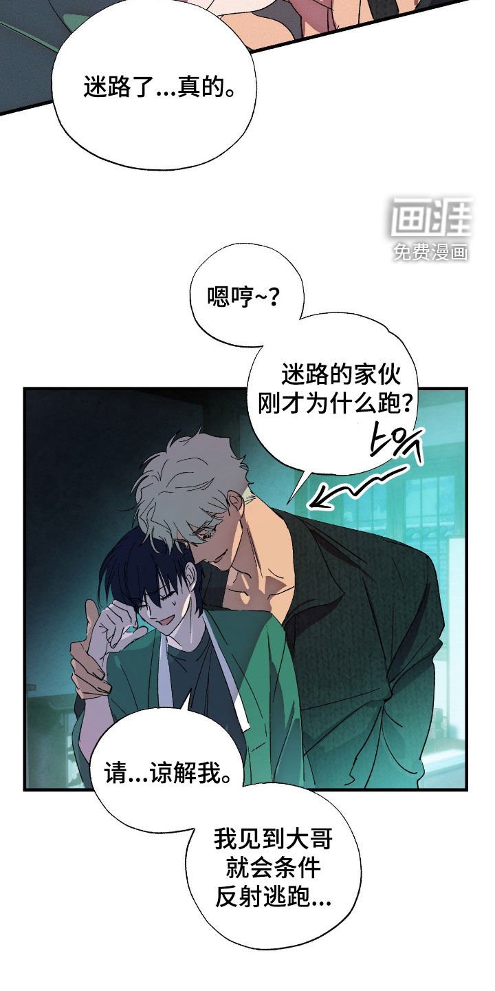 第12章：有趣的东西