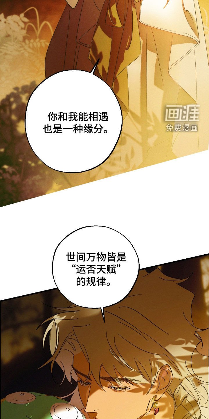 第13章：只是现实