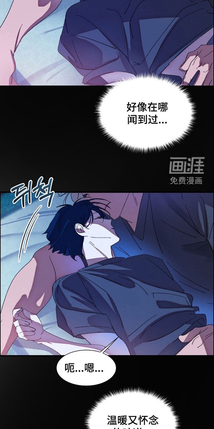 第16章：香味