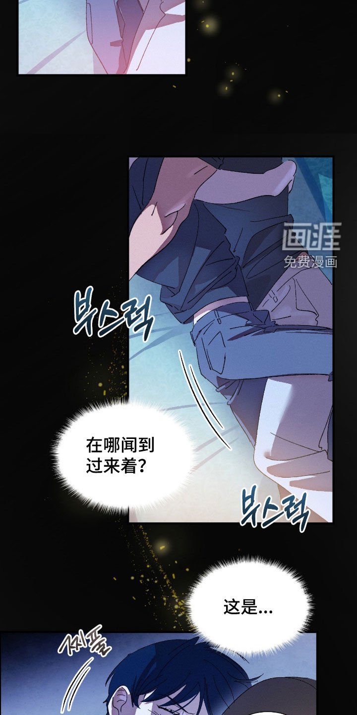 第16章：香味