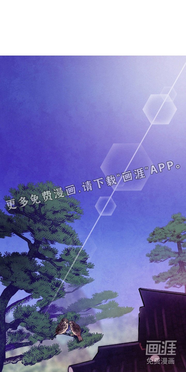 第9章：蝴蝶结计划
