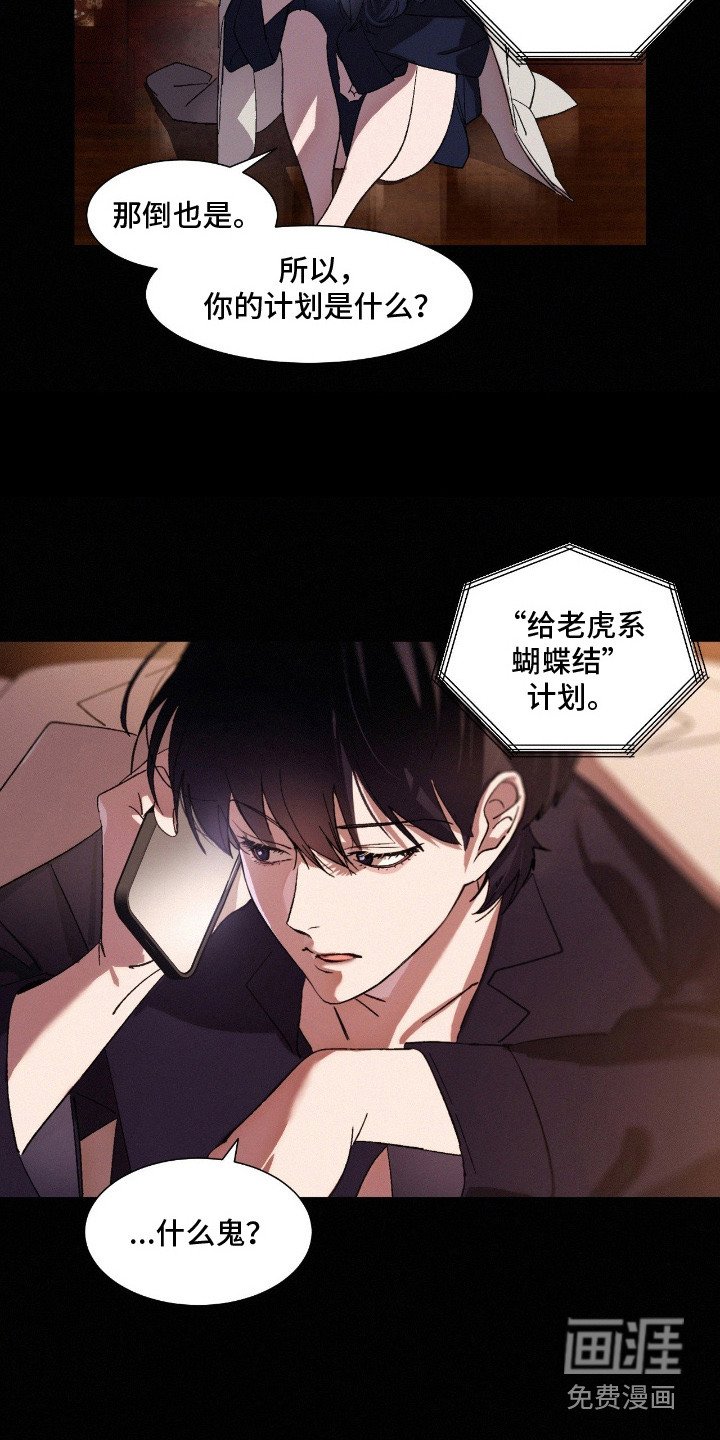 第9章：蝴蝶结计划