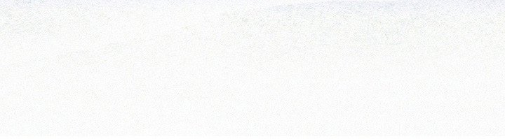 第9章：蝴蝶结计划