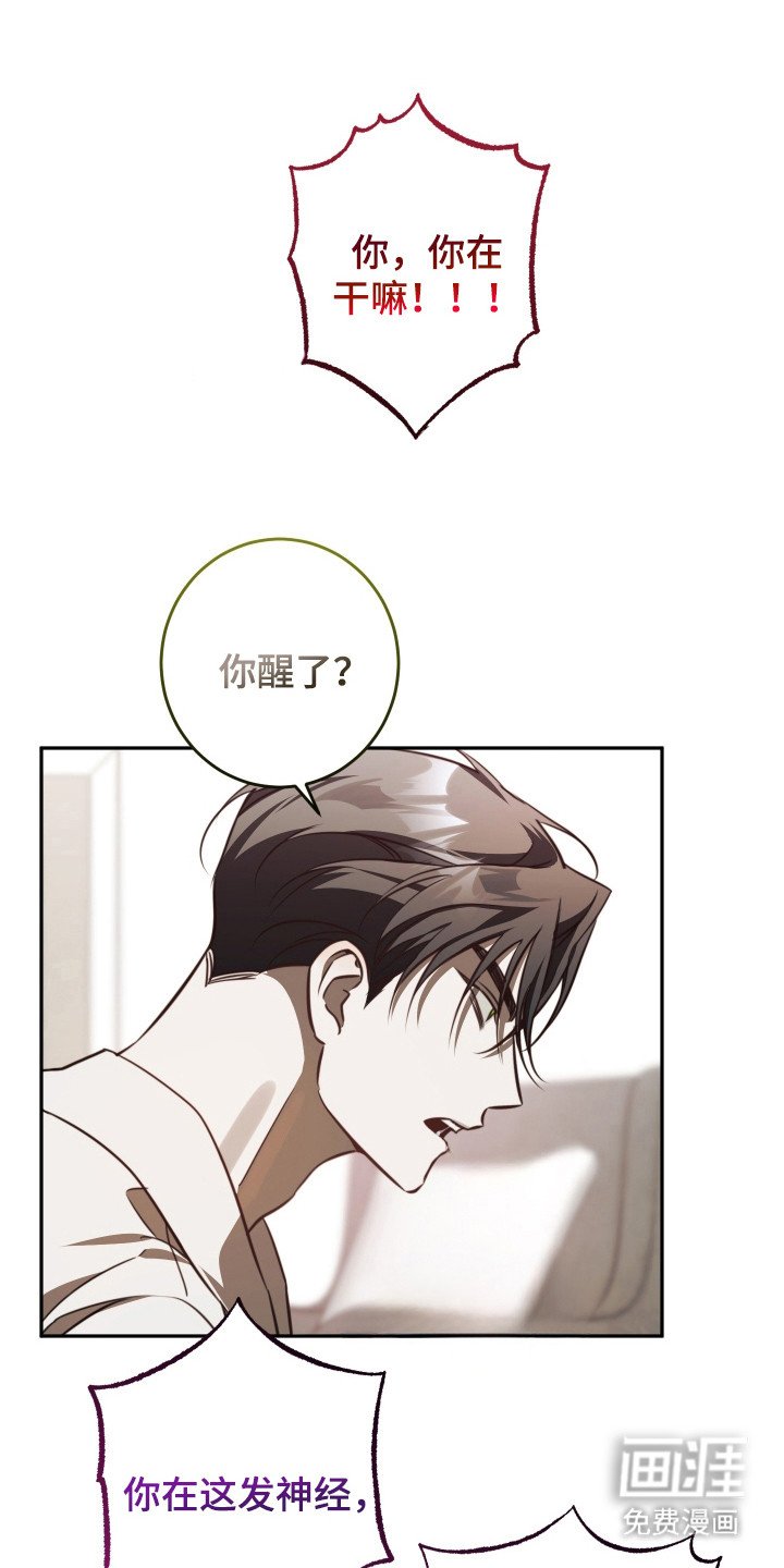 第13章：很有活力