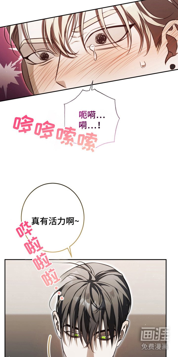 第13章：很有活力