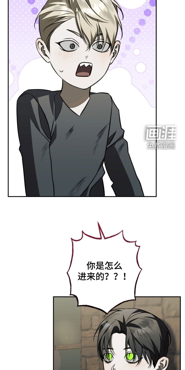第15章：第一个朋友