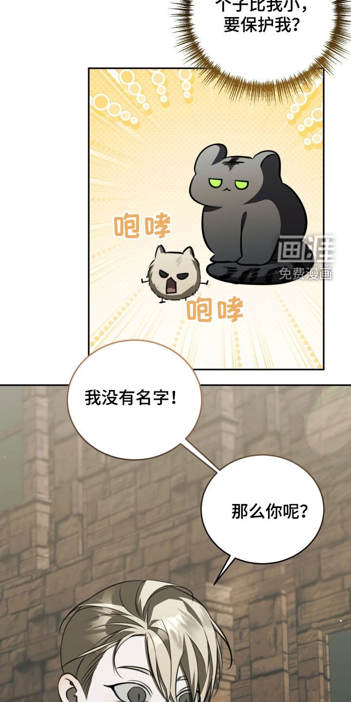 第15章：第一个朋友