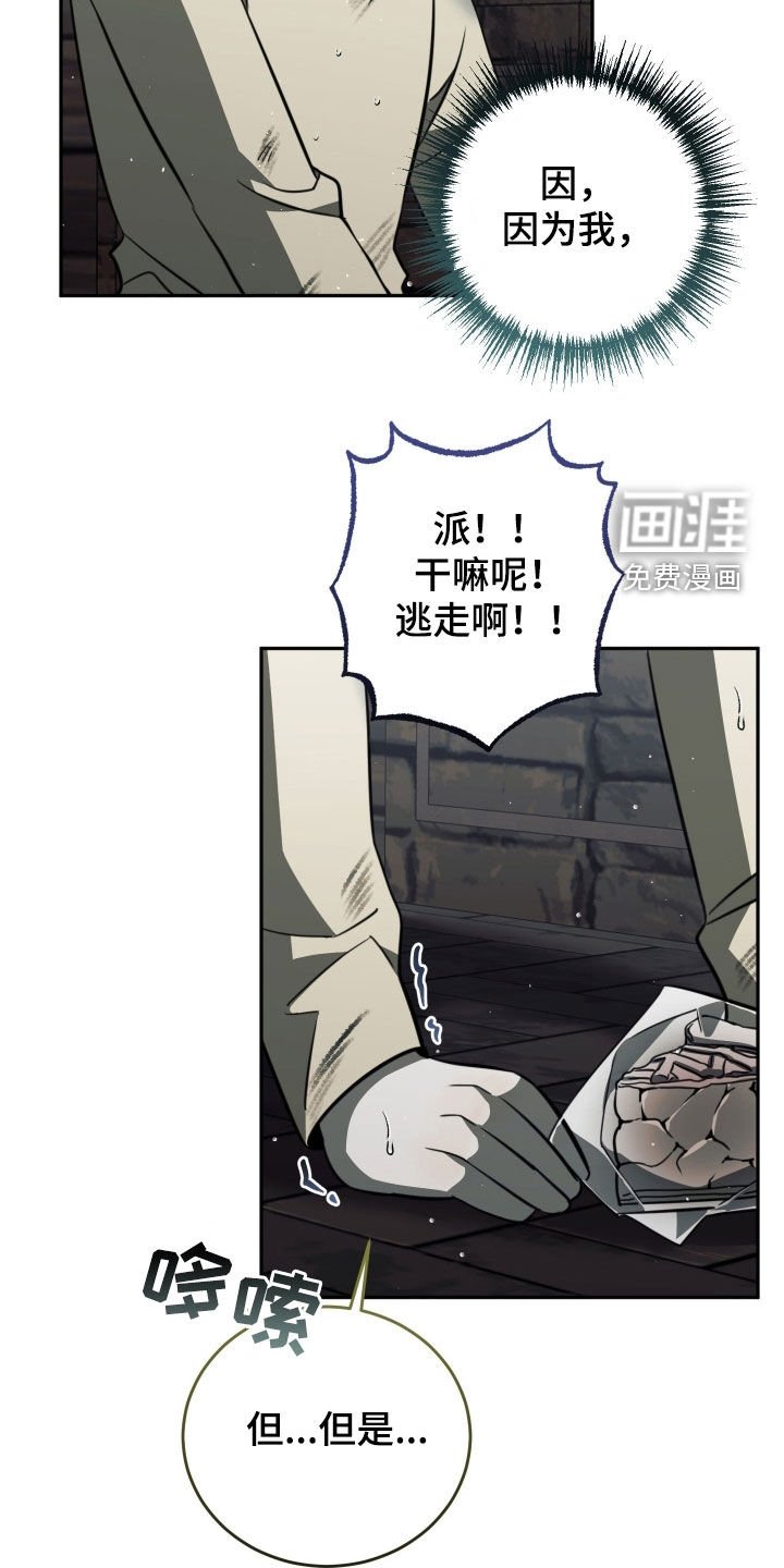 第16章：绝对不会错过