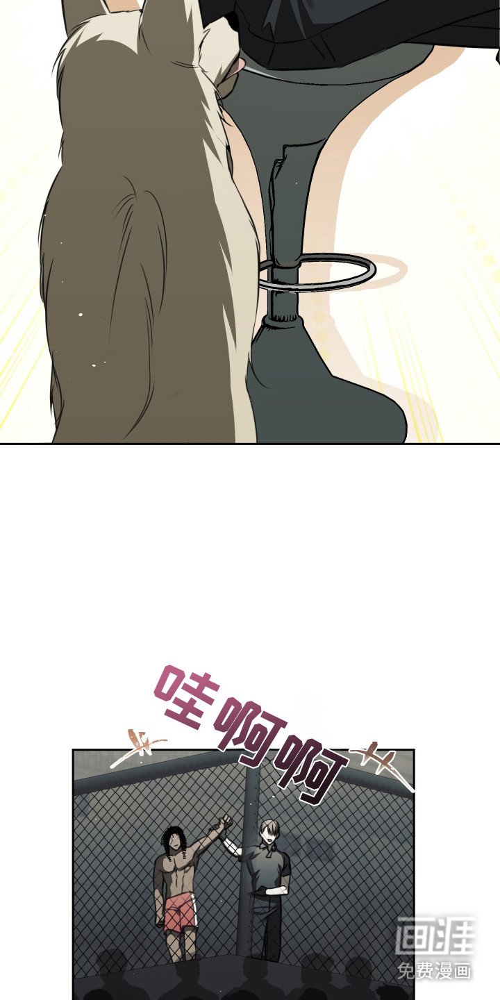第2章：猎犬