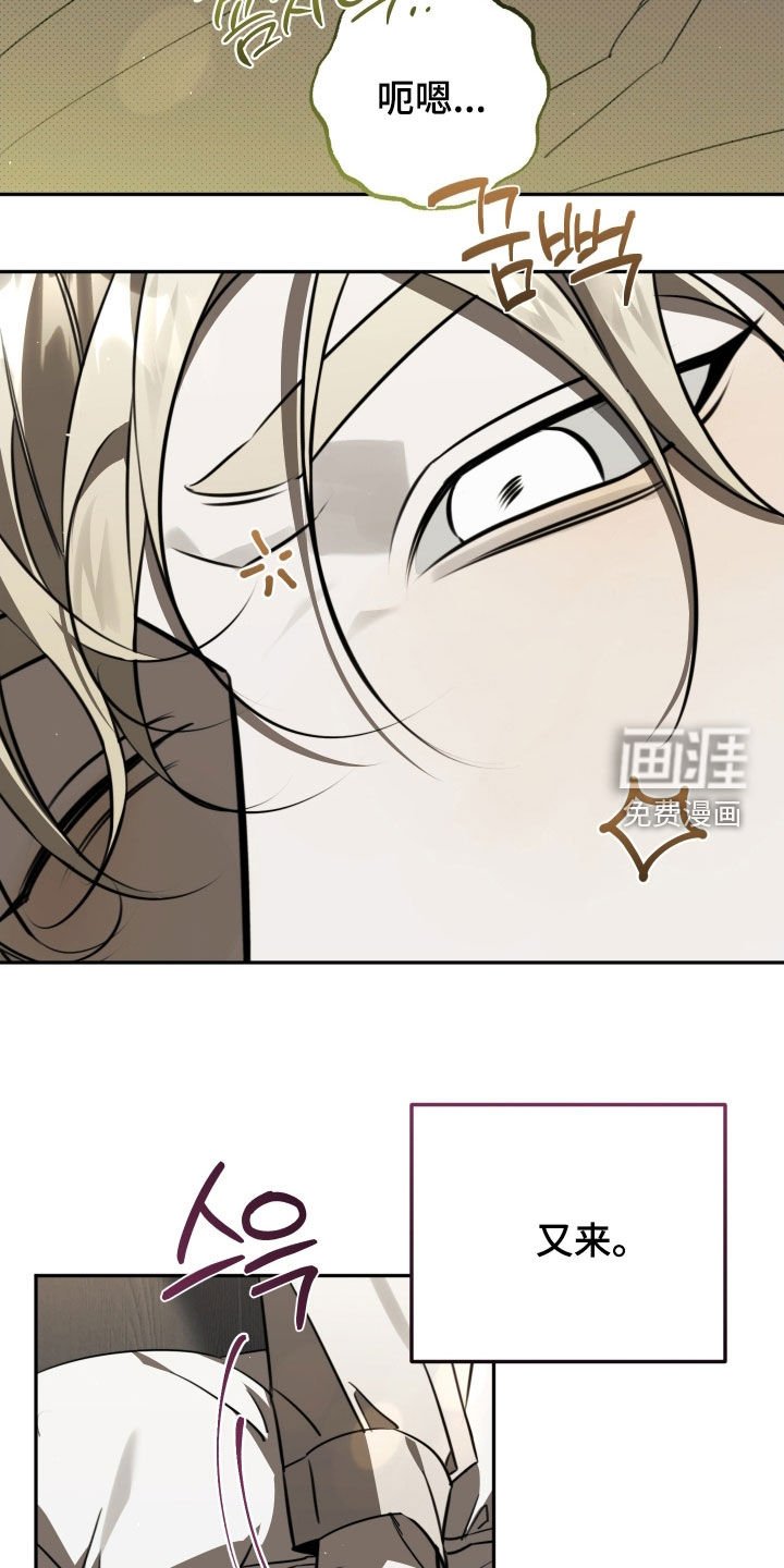 第29章：确认一下