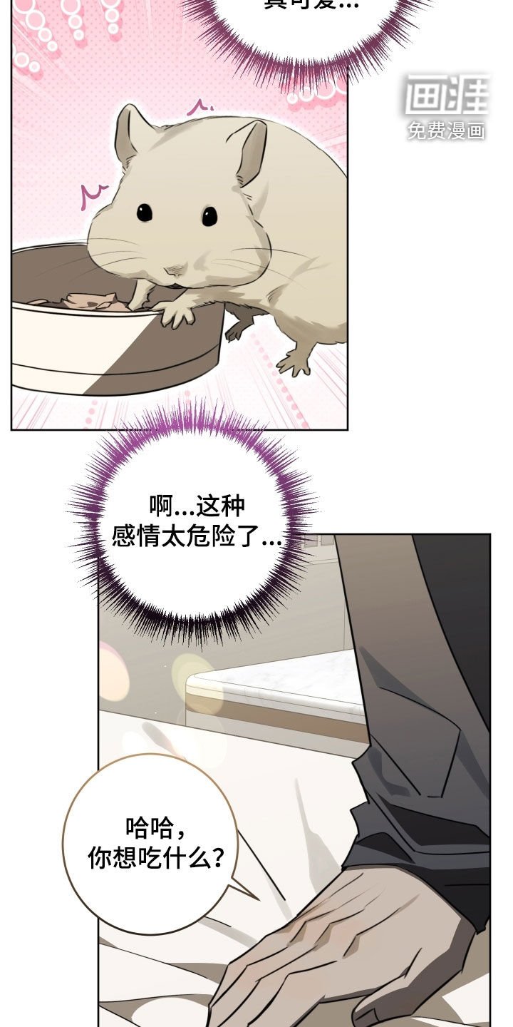 第37章：太致命了