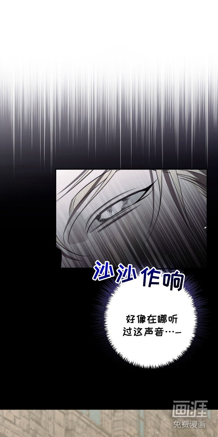 第5章：其他效果
