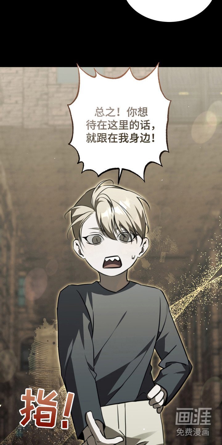 第5章：其他效果