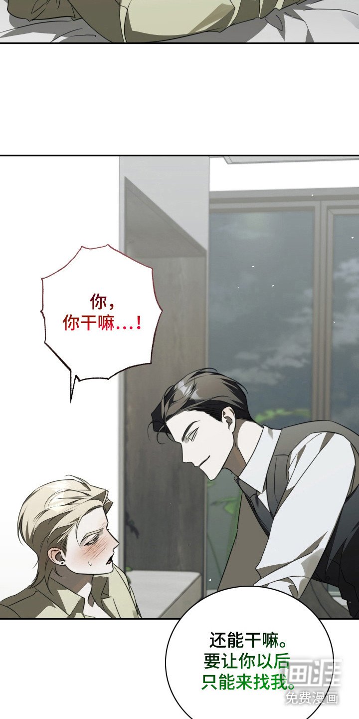 第5章：其他效果