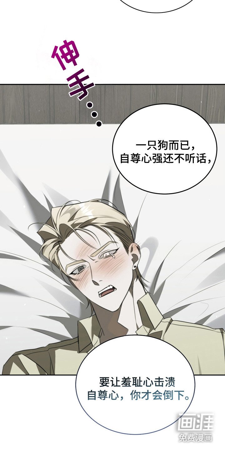第5章：其他效果