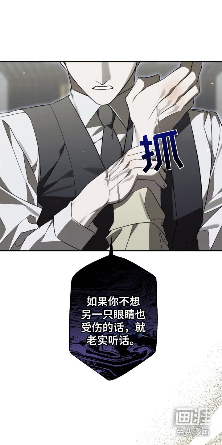 第5章：其他效果