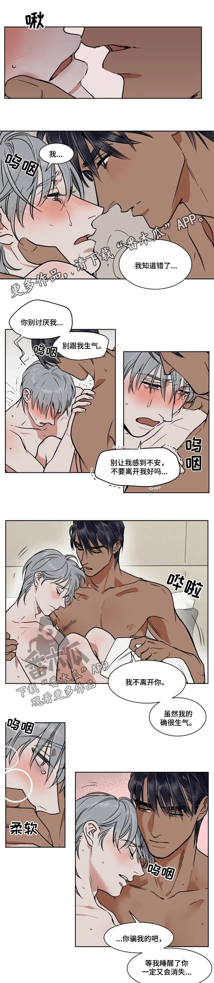 第77章：婚礼视频