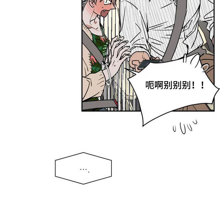 第81章：你爱我吗