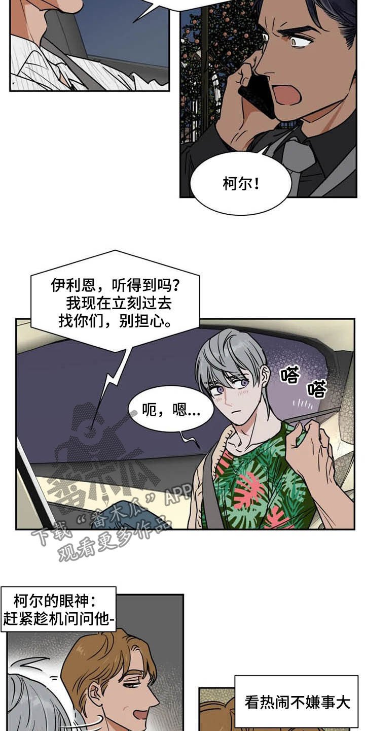 第81章：你爱我吗