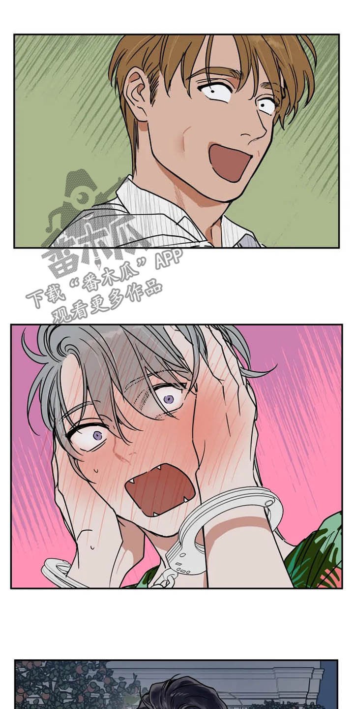 第81章：你爱我吗