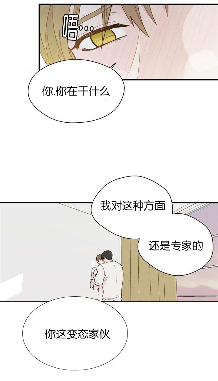 第18章：假装无辜