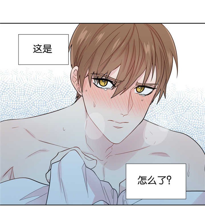 第37章：在说什么