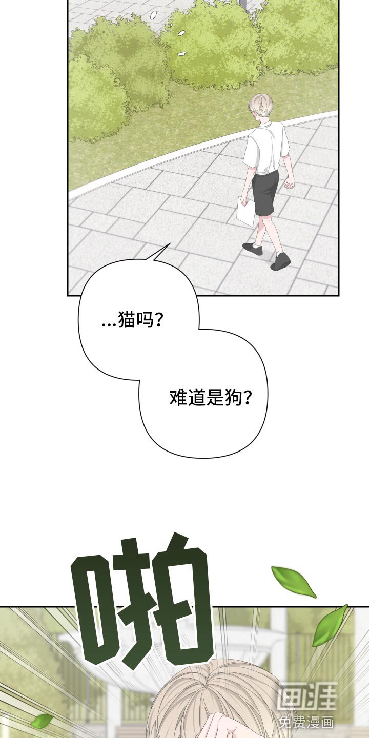 第116章：【第二季】旅行者