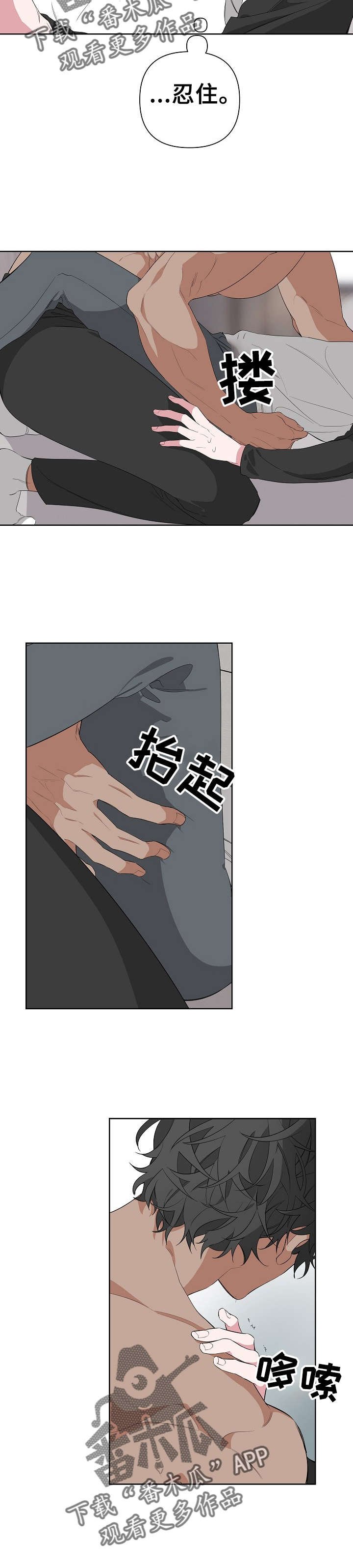 第19章：拍摄