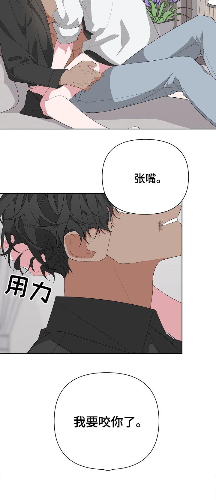 第33章：摄影开始