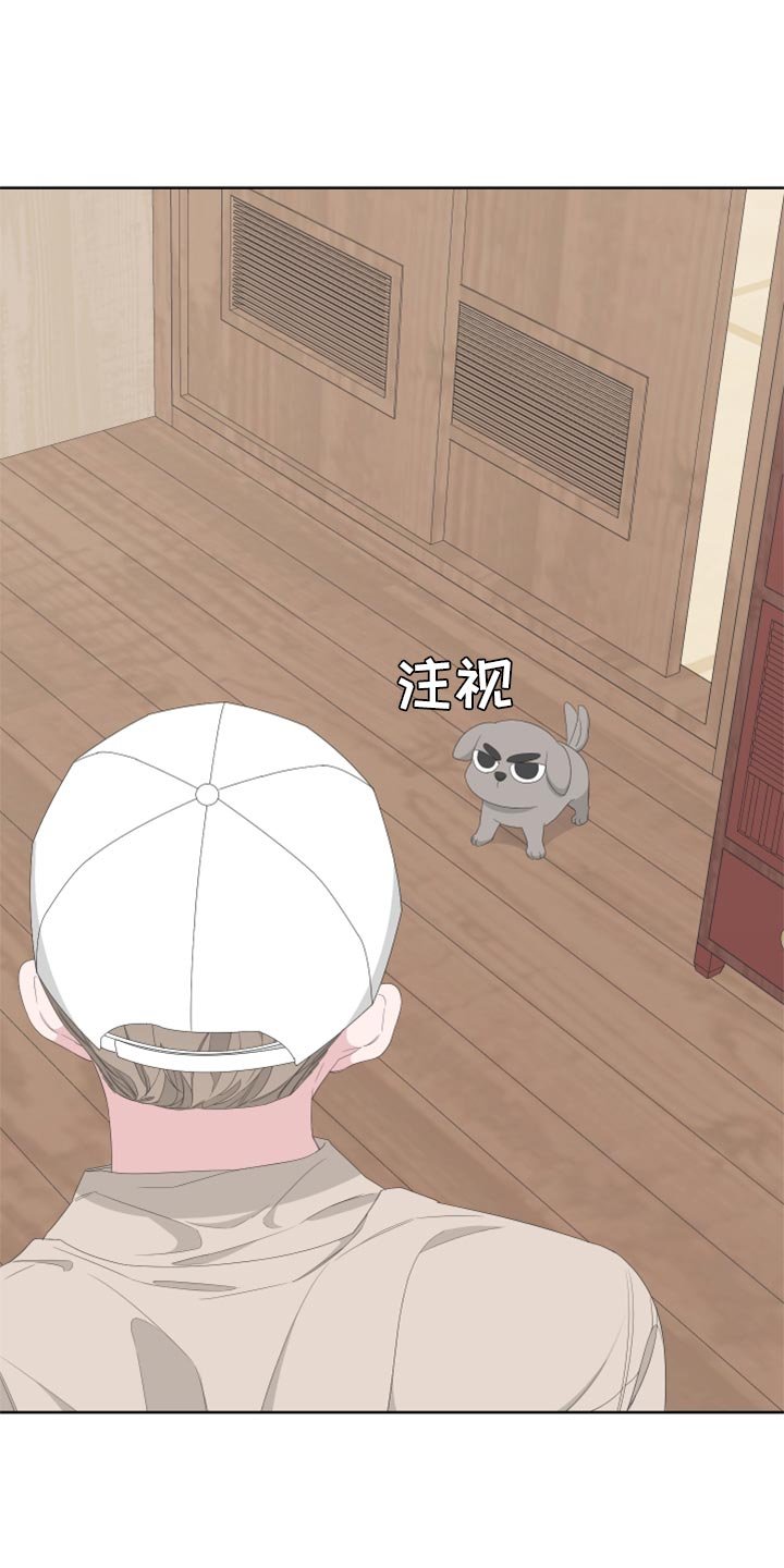 第73章：【第二季】四条腿的金英才